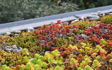 the cost of Coplandhill green roof installation
