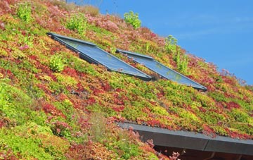 Coplandhill living roof systems